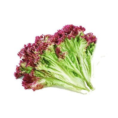 儸莎(sha)生菜(cai)